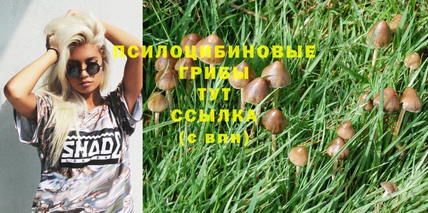 ПСИЛОЦИБИНОВЫЕ ГРИБЫ Алексеевка