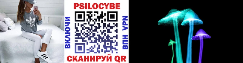 Галлюциногенные грибы Psilocybe  наркота  ОМГ ОМГ   Уяр 